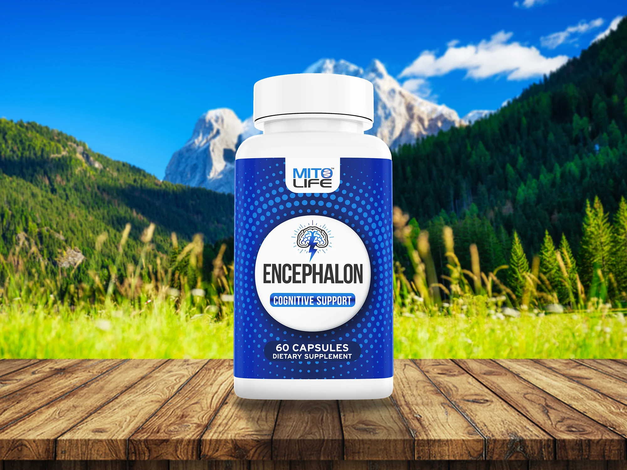 MITOLIFE ENCEPHALON - COGNITIVE SUPPORT