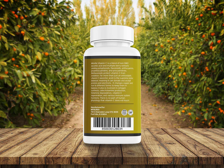 VITAMIN-C WITH POLYPHENOLS - Image 2